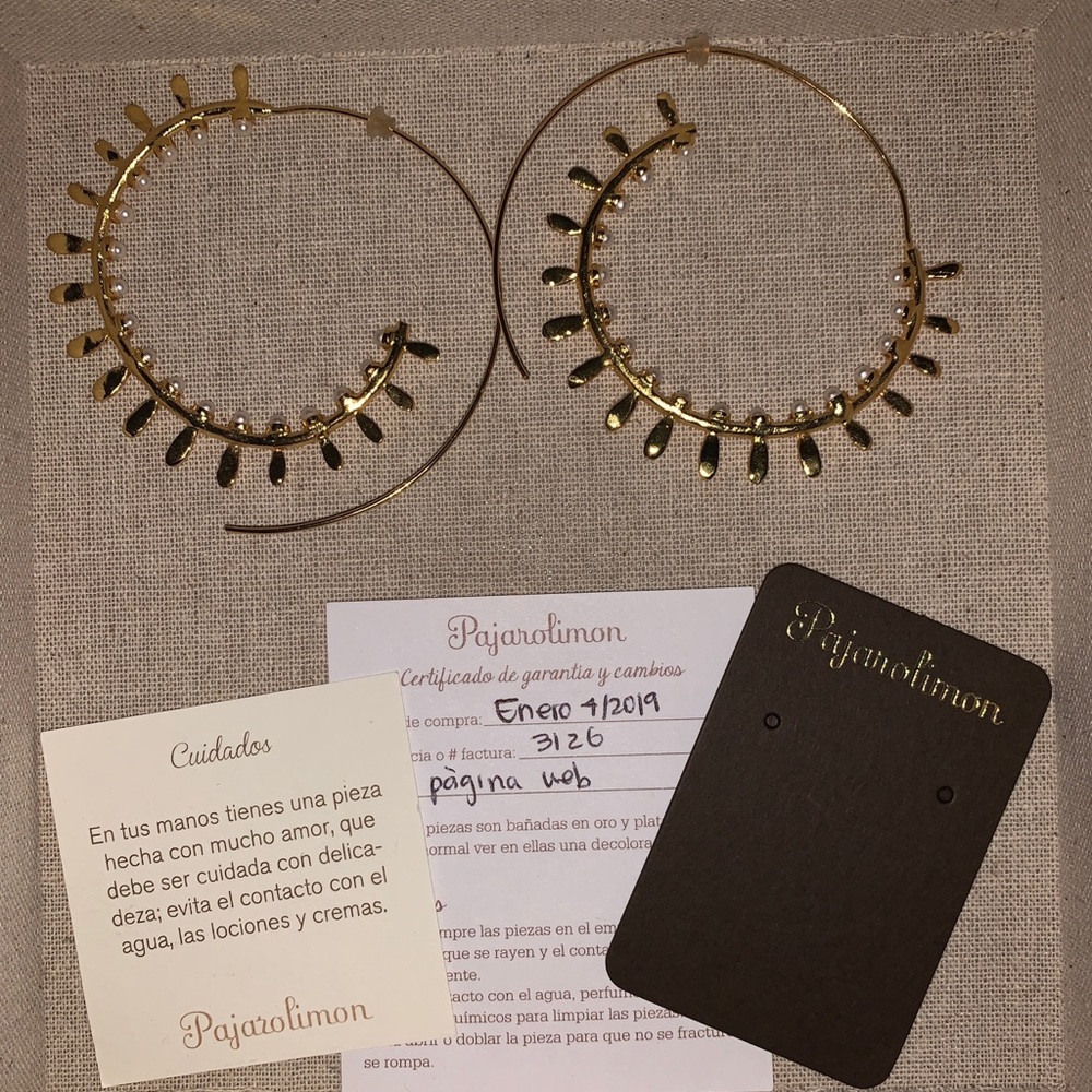 Beautiful Colombian Hoop Earrings by Pajaro Limon